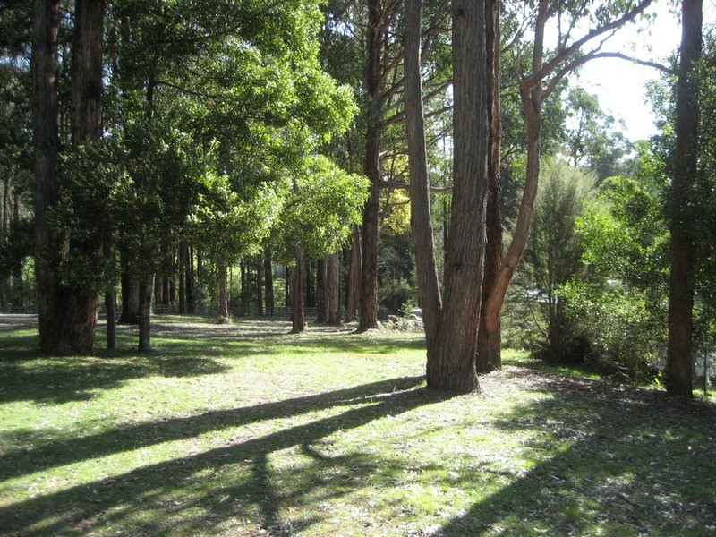 Three Bridges VIC 3797