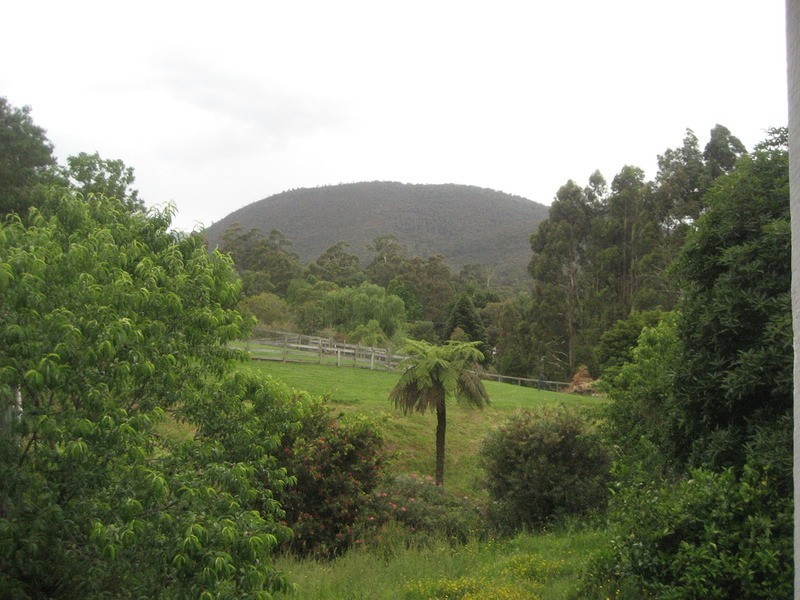104 Wonga Road, Millgrove VIC 3799