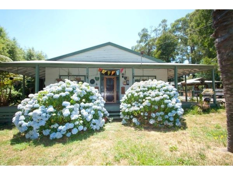 11 Graham Road, East Warburton VIC 3799