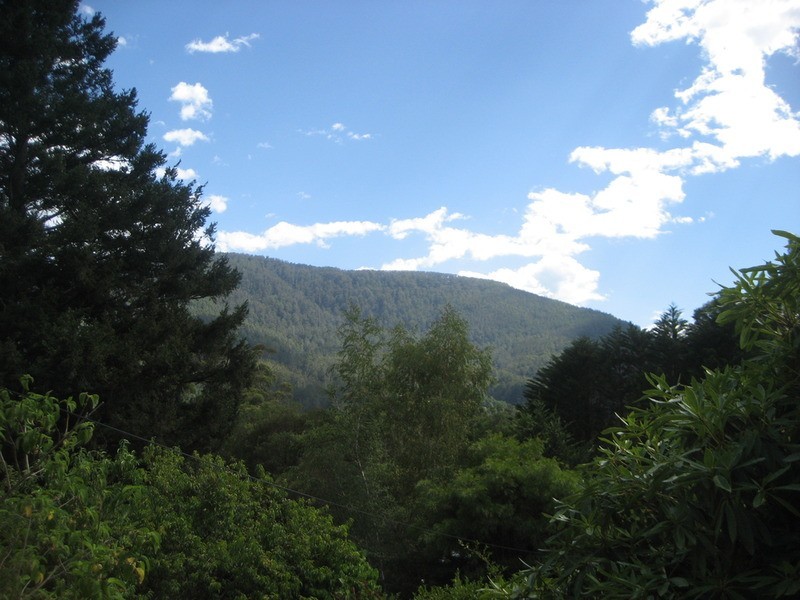 16 Old Warburton Road, Warburton VIC 3799