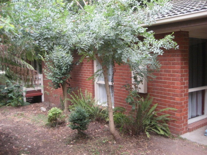 48 Wonga Road, Millgrove VIC 3799