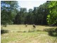 1010 Little Yarra Road, Three Bridges VIC 3797
