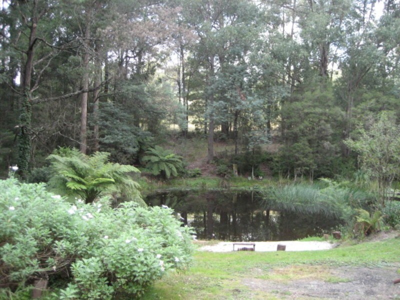21 Hacketts Creek Road, Three Bridges VIC 3797