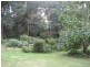 21 Hacketts Creek Road, Three Bridges VIC 3797