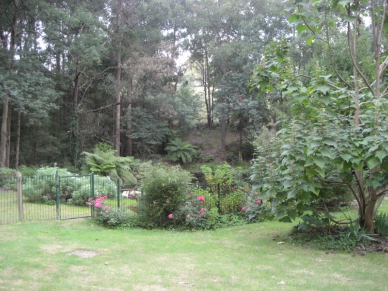 21 Hacketts Creek Road, Three Bridges VIC 3797