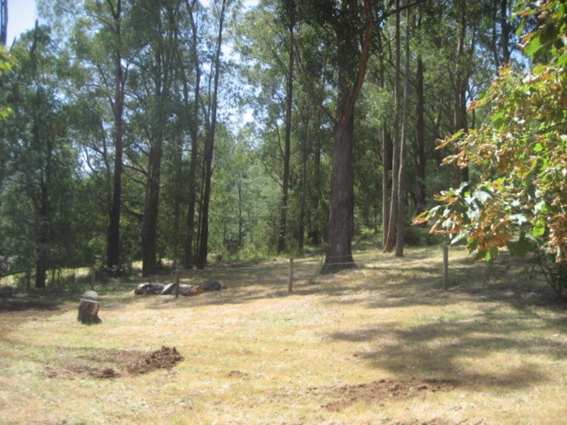 80 Coles Road, Three Bridges VIC 3797