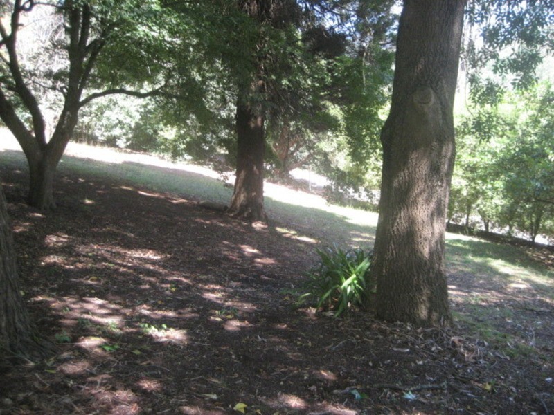 80 Coles Road, Three Bridges VIC 3797