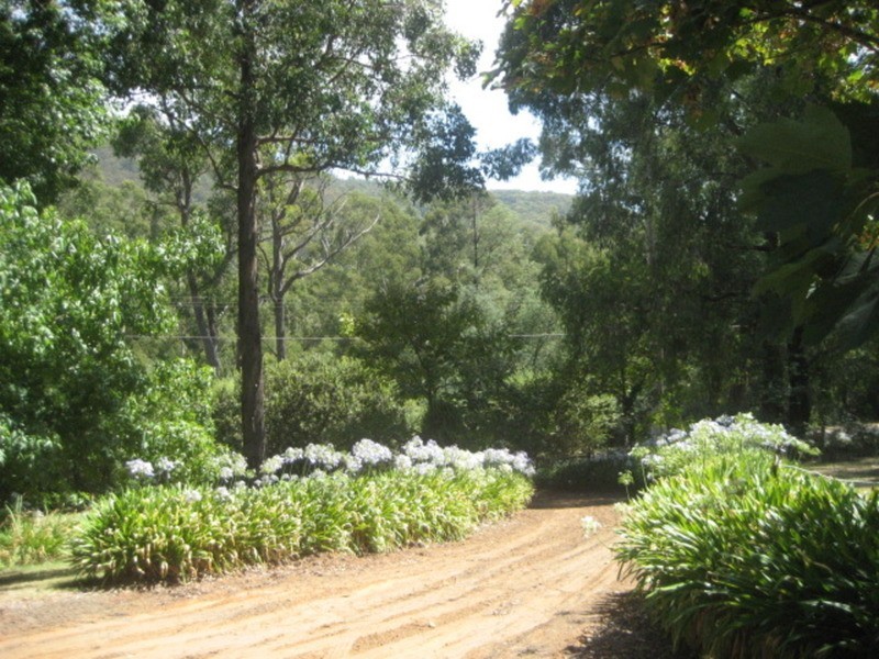 80 Coles Road, Three Bridges VIC 3797