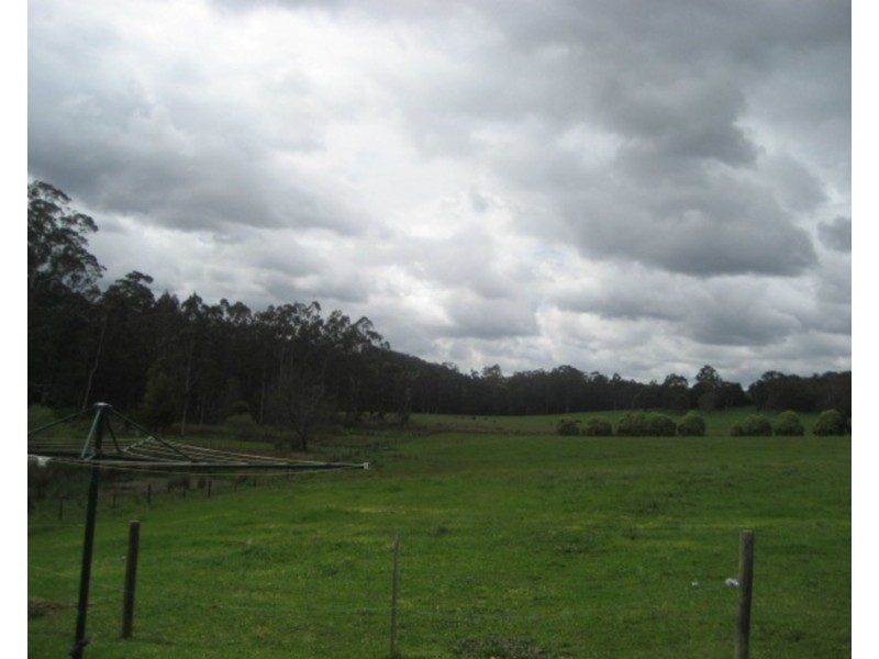 185A Beenak Road, Yellingbo VIC 3139