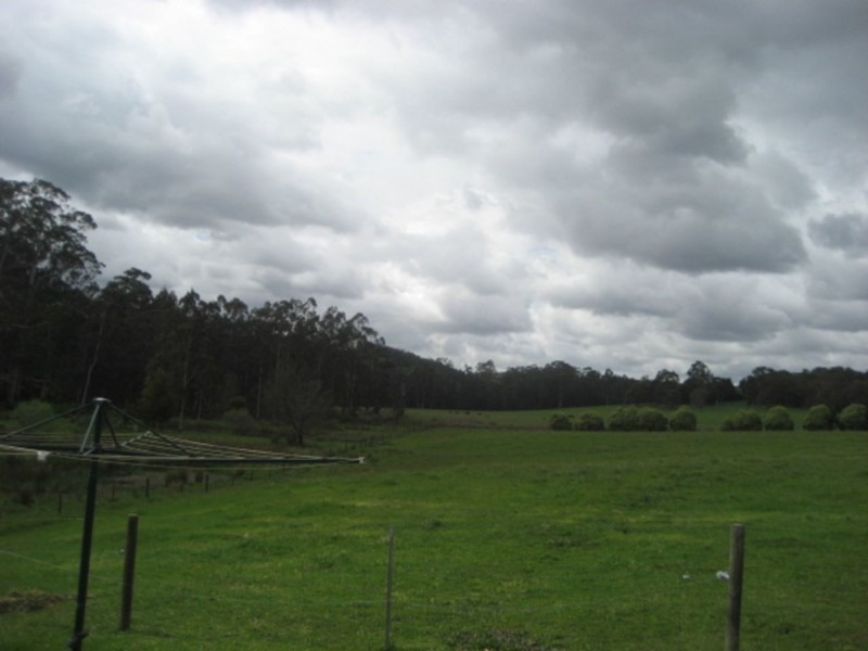 185A Beenak Road, Yellingbo VIC 3139