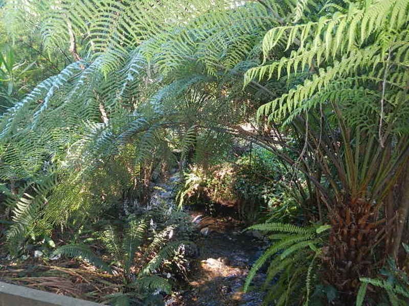 51 Wonga Road, Millgrove VIC 3799