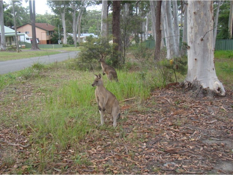 103 Leumeah Street, Sanctuary Point NSW 2540