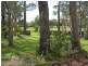 192 Sanctuary Point Road, Sanctuary Point NSW 2540