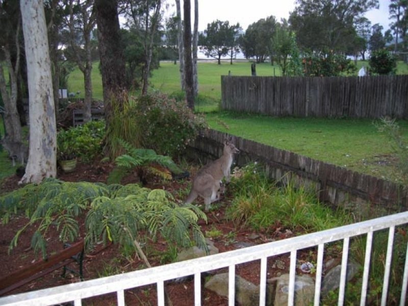 192 Sanctuary Point Road, Sanctuary Point NSW 2540
