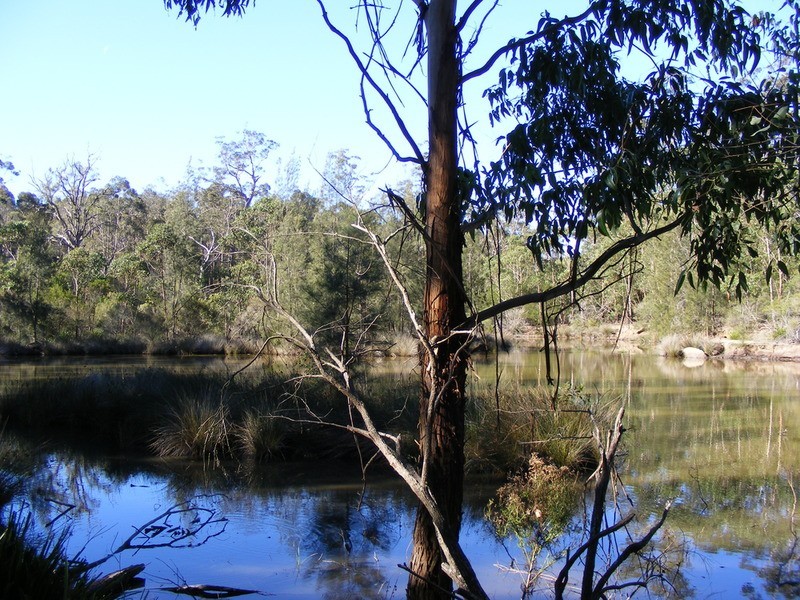 Wandandian NSW 2540