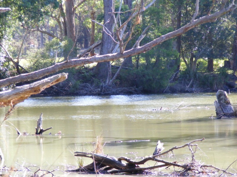 Wandandian NSW 2540