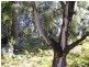 Lot 1 Princes Highway, Wandandian NSW 2540