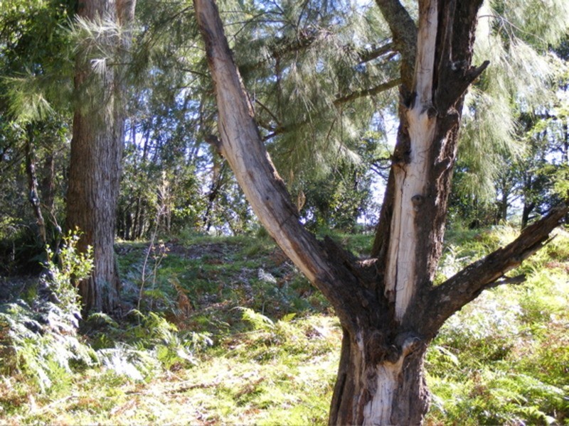 Lot 1 Princes Highway, Wandandian NSW 2540
