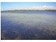 Lot 8 Larmer Avenue, Worrowing Heights NSW 2540