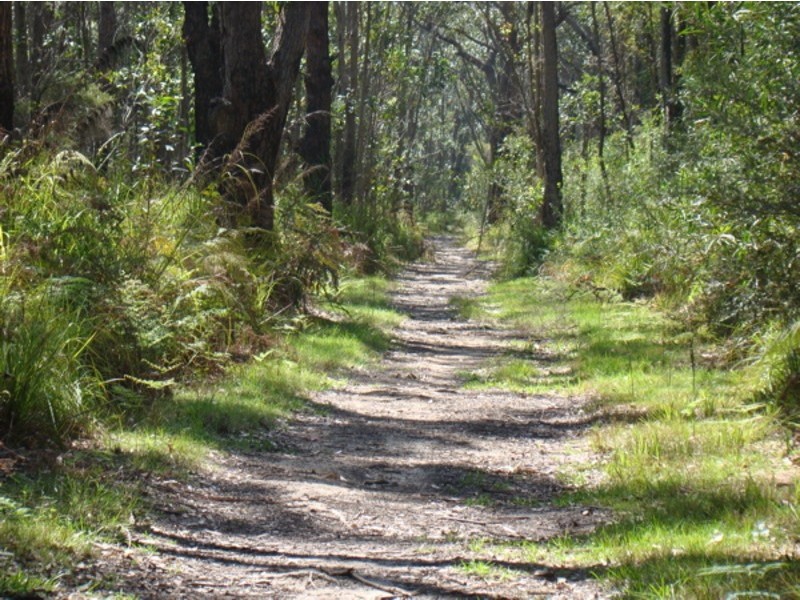 Lot 8 Larmer Avenue, Worrowing Heights NSW 2540