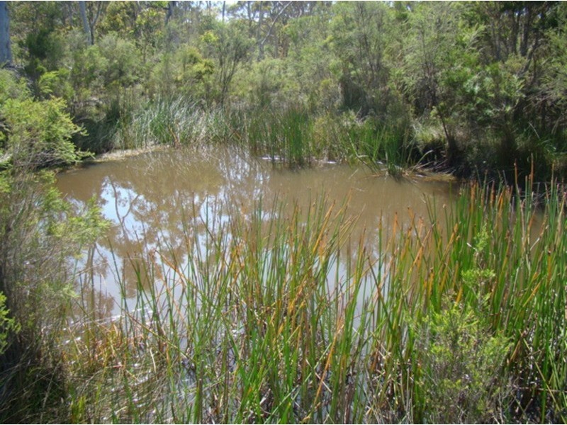 lots 1-5 Wandean Road, Wandandian NSW 2540