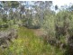 lots 1-5 Wandean Road, Wandandian NSW 2540