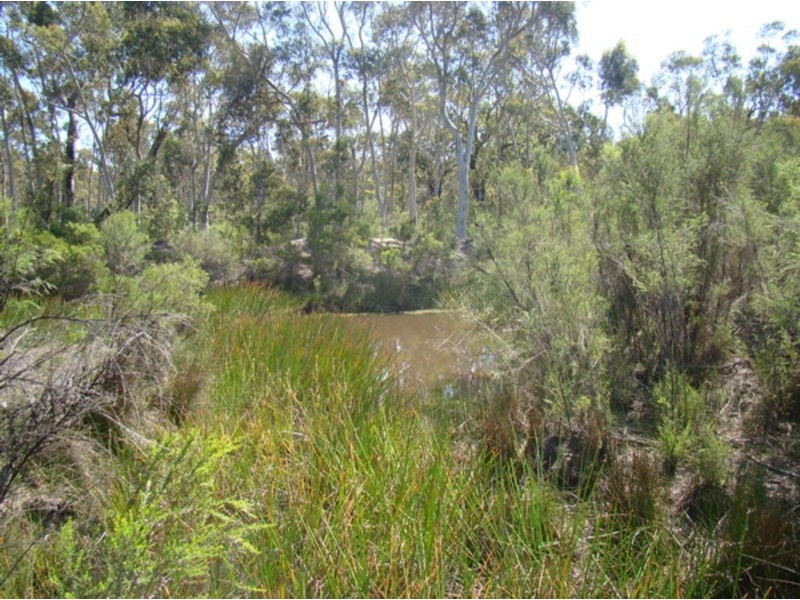 lots 1-5 Wandean Road, Wandandian NSW 2540