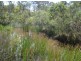 1,2,3,4,5 Wandean Road, Wandandian NSW 2540