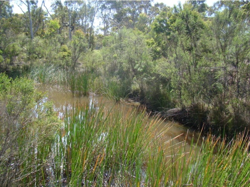 1,2,3,4,5 Wandean Road, Wandandian NSW 2540