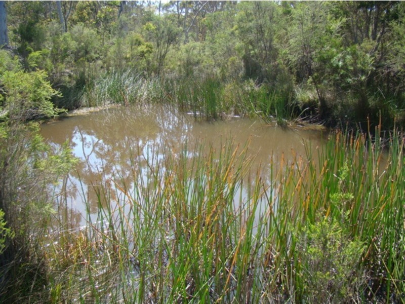 1,2,3,4,5 Wandean Road, Wandandian NSW 2540