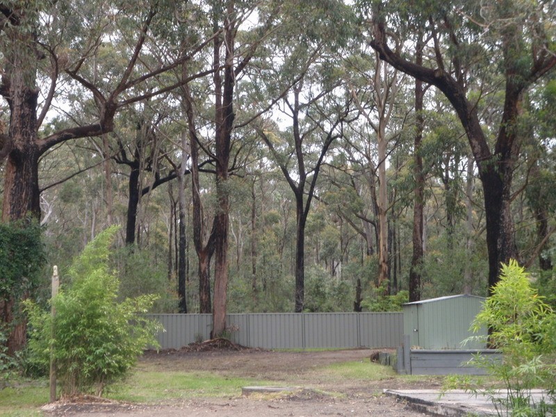 770 Woollamia Road, Woollamia NSW 2540