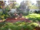 3 Kingfisher Avenue, Sanctuary Point NSW 2540