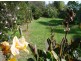 45 Edmund Street, Sanctuary Point NSW 2540