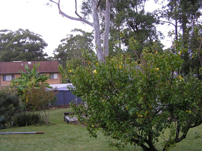 20 Waldergrave Crescent, Vincentia NSW 2540