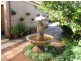 129 Walmer Avenue, Sanctuary Point NSW 2540