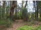 107 Larmer Avenue, Sanctuary Point NSW 2540