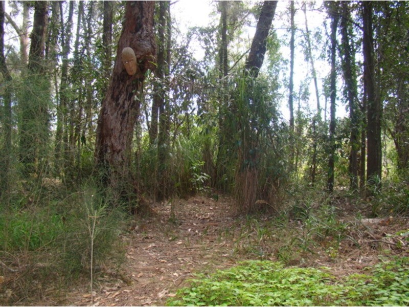 107 Larmer Avenue, Sanctuary Point NSW 2540