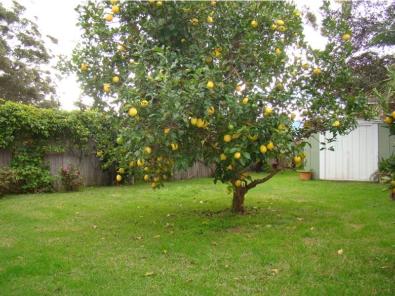 5 Auster Crescent, Sanctuary Point NSW 2540