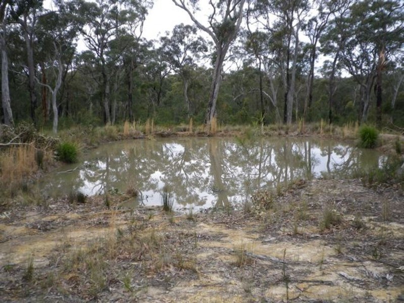 104 Cambourne Road, Tomerong NSW 2540