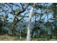 14 Greville Avenue, Sanctuary Point NSW 2540
