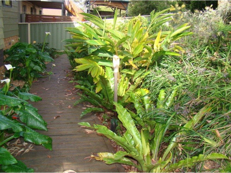 96 Greville Avenue, Sanctuary Point NSW 2540