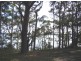 147 Basin View Parade, Basin View NSW 2540