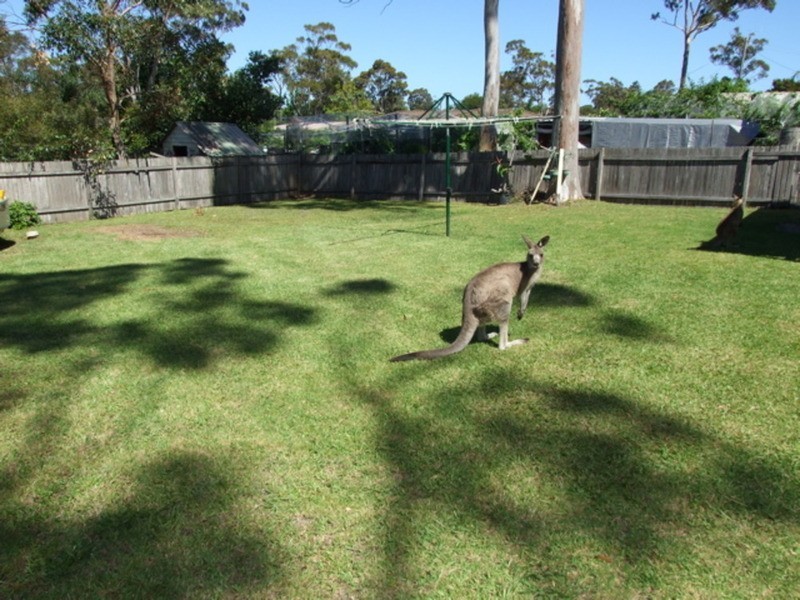 69 Mustang Drive, Sanctuary Point NSW 2540