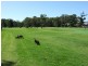 16 The Park Drive, Sanctuary Point NSW 2540