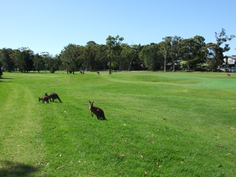 16 The Park Drive, Sanctuary Point NSW 2540