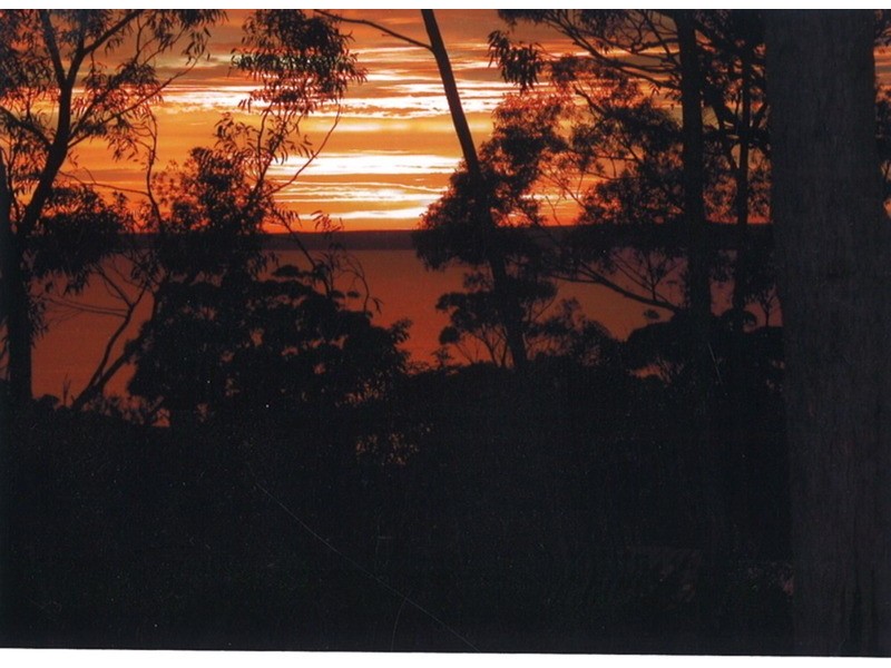 60 Waldegrave Crescent, Vincentia NSW 2540