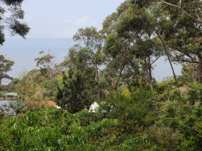 60 Waldegrave Crescent, Vincentia NSW 2540