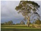 419 Parma Road, Parma NSW 2540