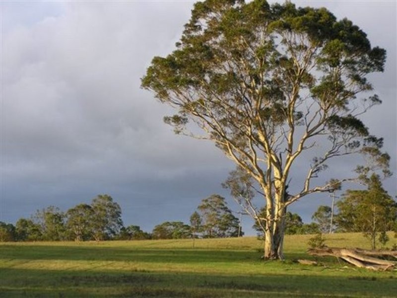 419 Parma Road, Parma NSW 2540