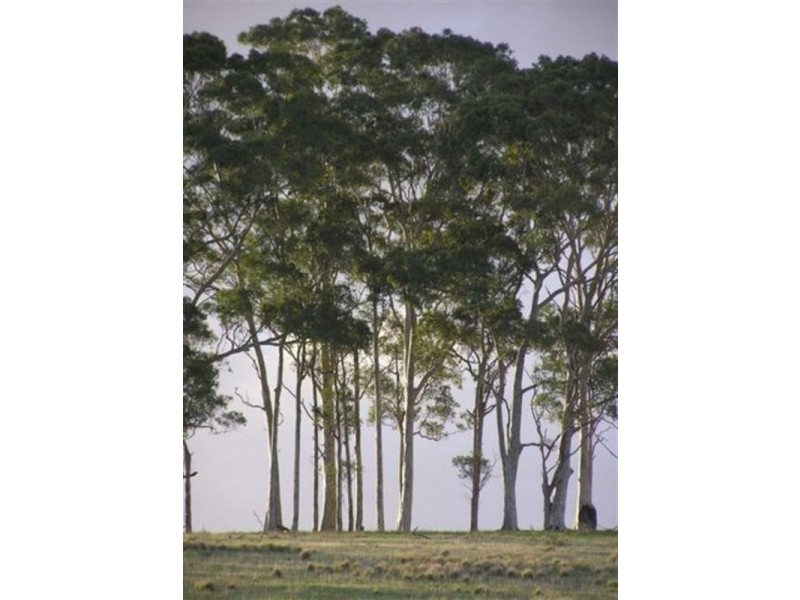 419 Parma Road, Parma NSW 2540